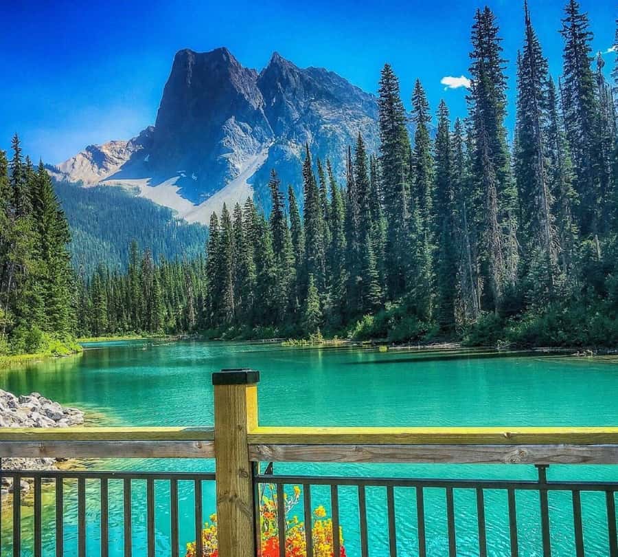 Banff/Calgary:Lake Louise,Moraine Lake,Emerald Lake Day Tour - Three Rocky Mountain lakes in one long day