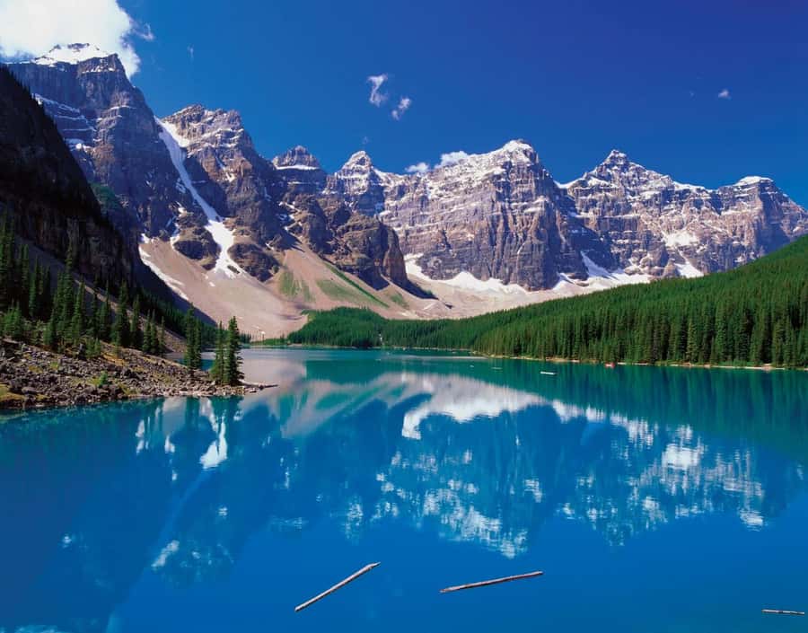 Banff/Calgary:Lake Louise,Moraine Lake,Emerald Lake Day Tour - Transport, pickup times, and the long return