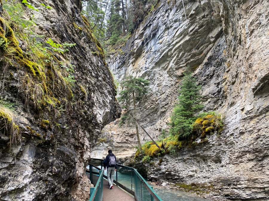 Banff/Canmore: Moraine Lake 1.5h & Lake Louise Half-Day Tour - Lake Louise: 1 hour 15 minutes at the famous shore