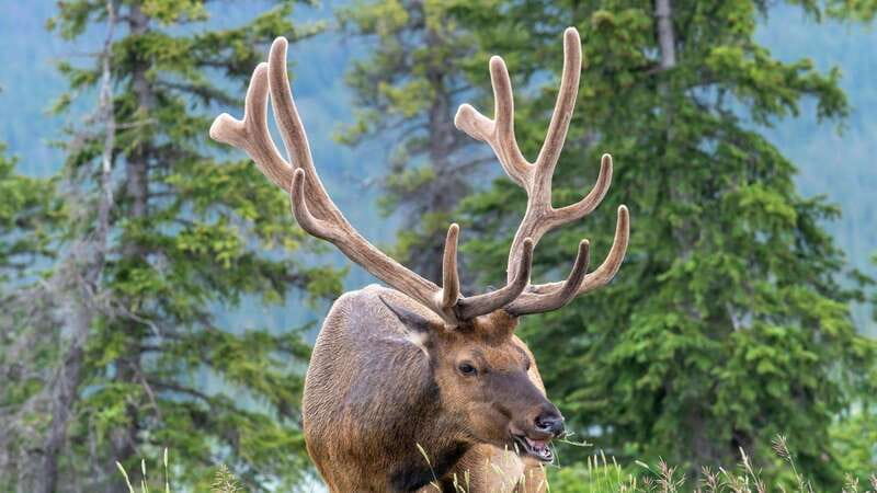 Banff/Canmore- Moraine Lake & Louise-Morning or Sunset Tour - Is $130 a fair price?