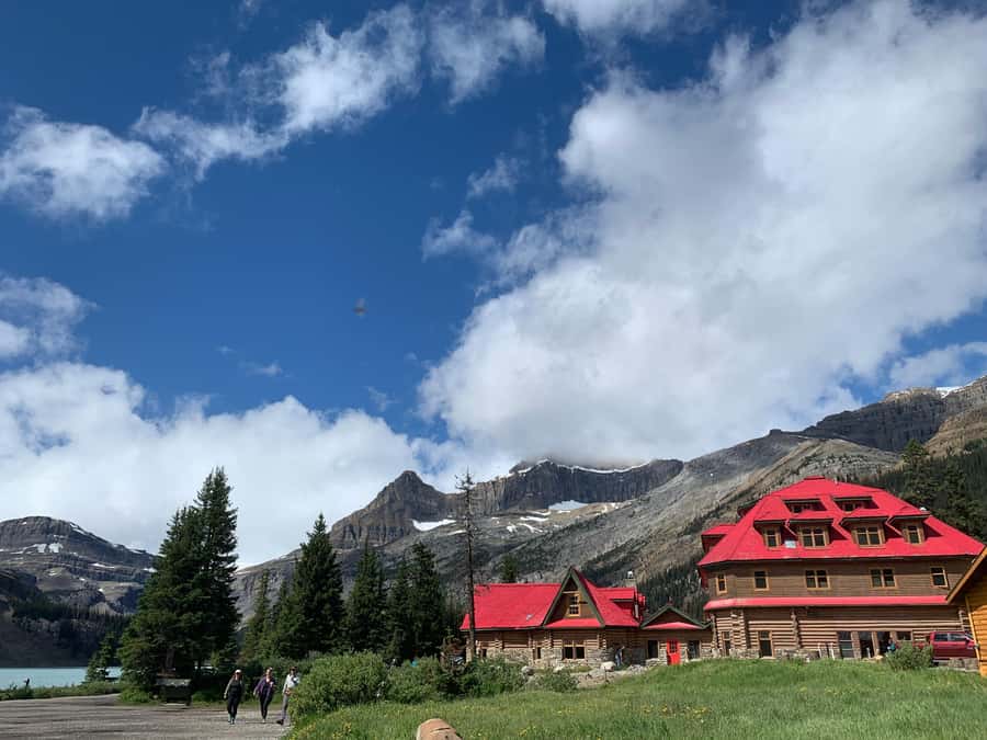 Banff: Columbia Icefield, Skywalk, Parkway, Bow & Peyto Lake - Why the Icefields Parkway is the real star