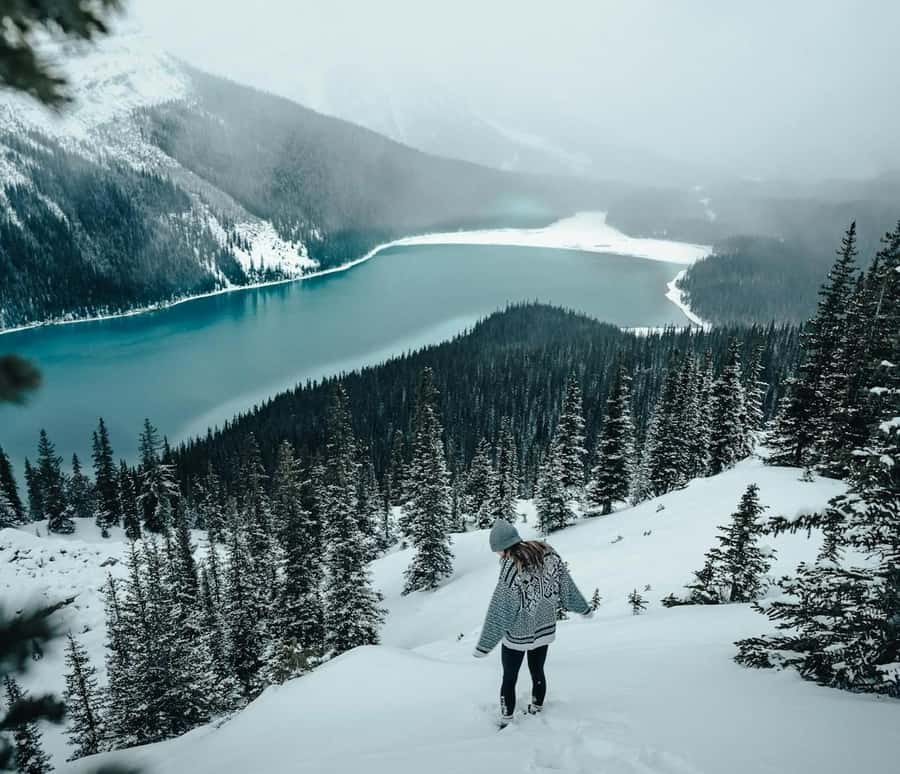 Banff: Columbia Icefield, Skywalk, Parkway, Bow & Peyto Lake - Bow Lake, an early taste of the high country