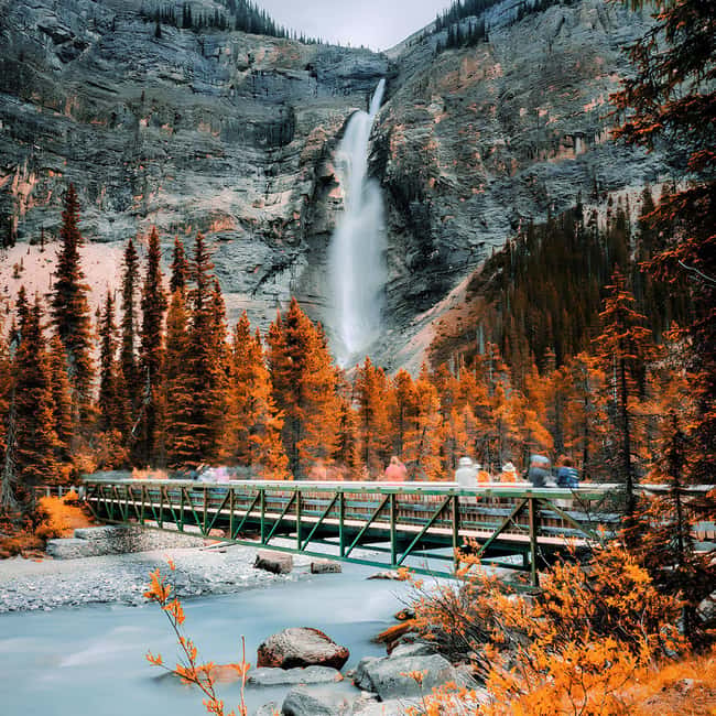 Banff: Emerald Lake, Wapta Falls & Takakkaw Falls Day Trip - Emerald Lake gives you the calmest opening