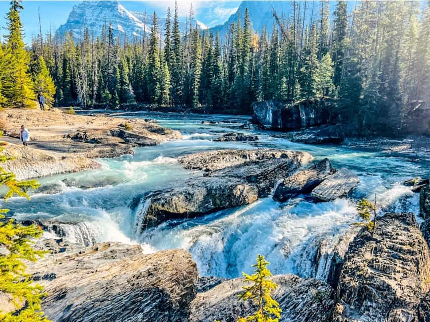 Banff: Emerald Lake, Wapta Falls & Takakkaw Falls Day Trip - What the guides add to the day