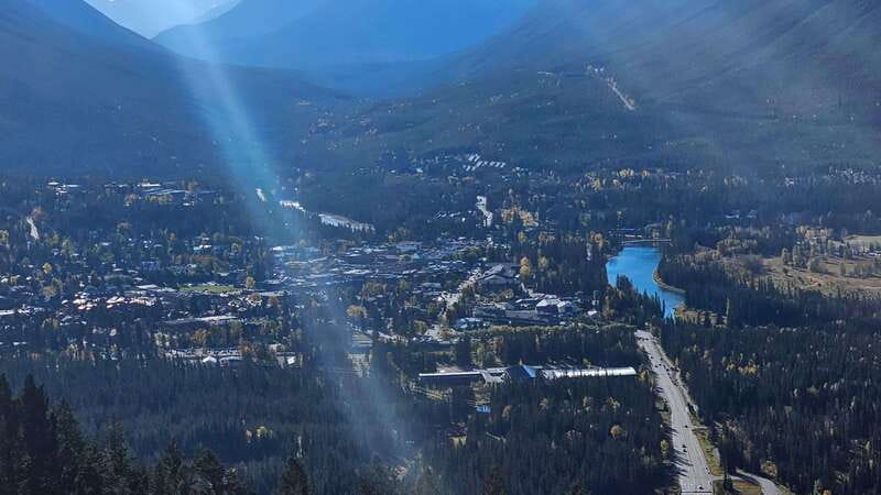 Banff: Evening Wildlife Safari Guided Tour - Booking details that matter