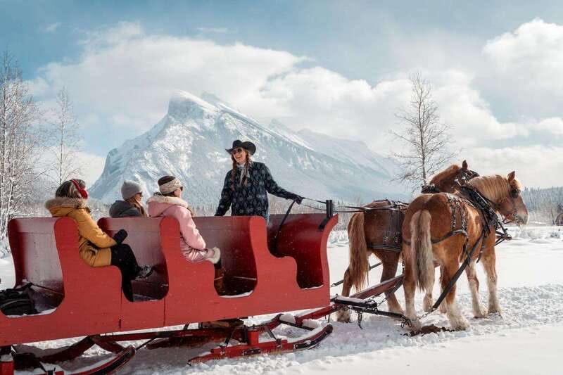 Banff: Family Friendly Horse-Drawn Sleigh Ride - Quick take: what makes this ride worth considering