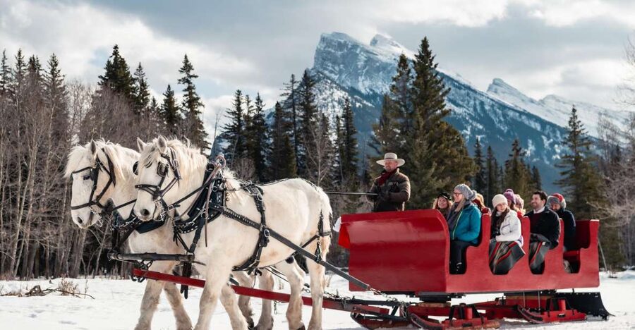 Banff: Family Friendly Horse-Drawn Sleigh Ride - Practical tips for a smoother outing