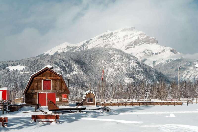 Banff: Family Friendly Horse-Drawn Sleigh Ride - Bells, horses, and Banff’s mountain views