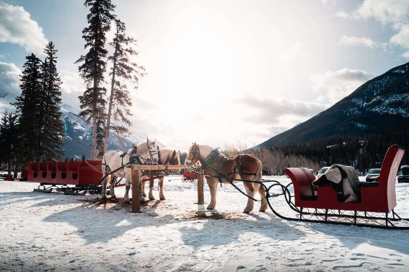 Banff: Family Friendly Horse-Drawn Sleigh Ride - What the route is really like