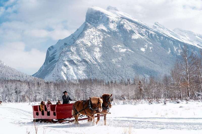 Banff: Family Friendly Horse-Drawn Sleigh Ride - The fireside finish is more than a footnote