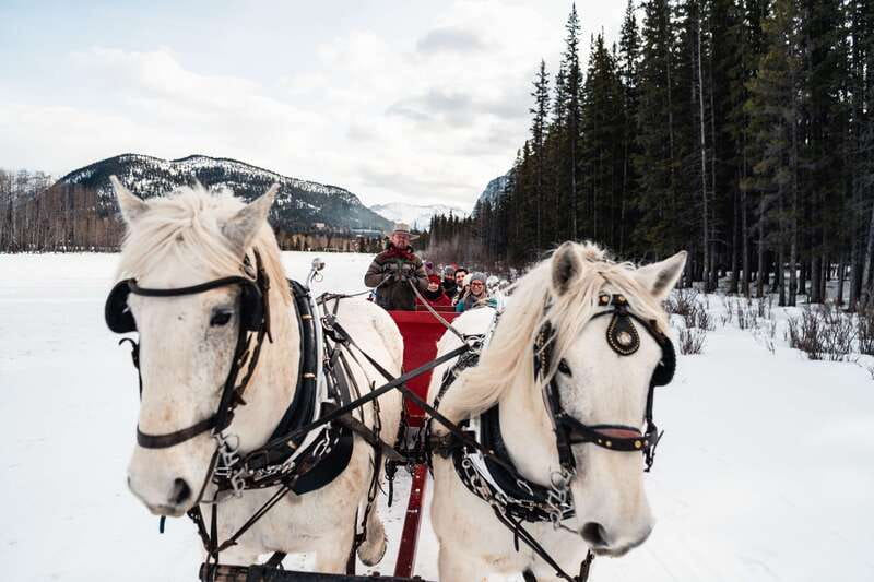 Banff: Family Friendly Horse-Drawn Sleigh Ride - How the $39 price holds up