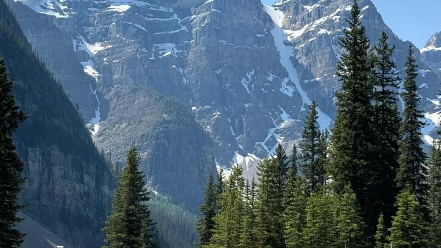 Banff: Gondola, Hot Springs, Bow falls & Three lakes tour - Banff Avenue and the town break