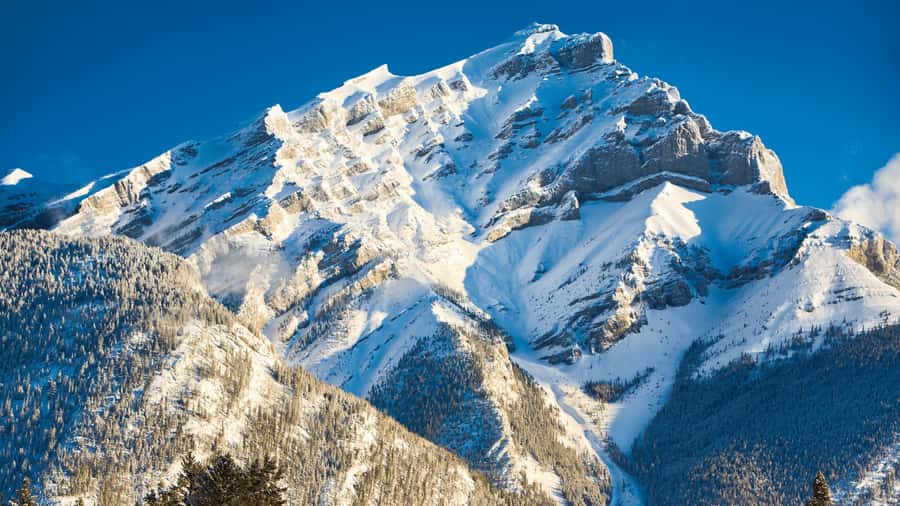 Banff: Gondola Ticket and Johnston Canyon Hiking Tour - Who should book this Banff tour?