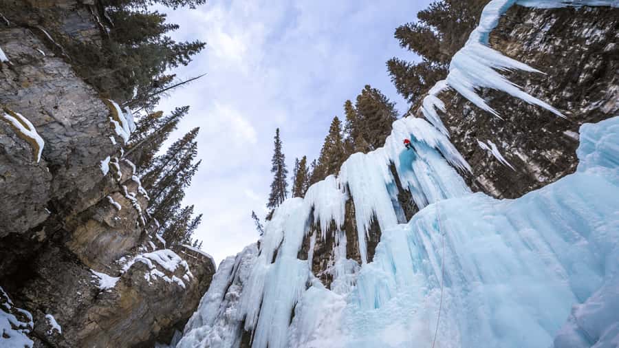 Banff: Gondola Ticket and Johnston Canyon Hiking Tour - Sulphur Mountain by gondola