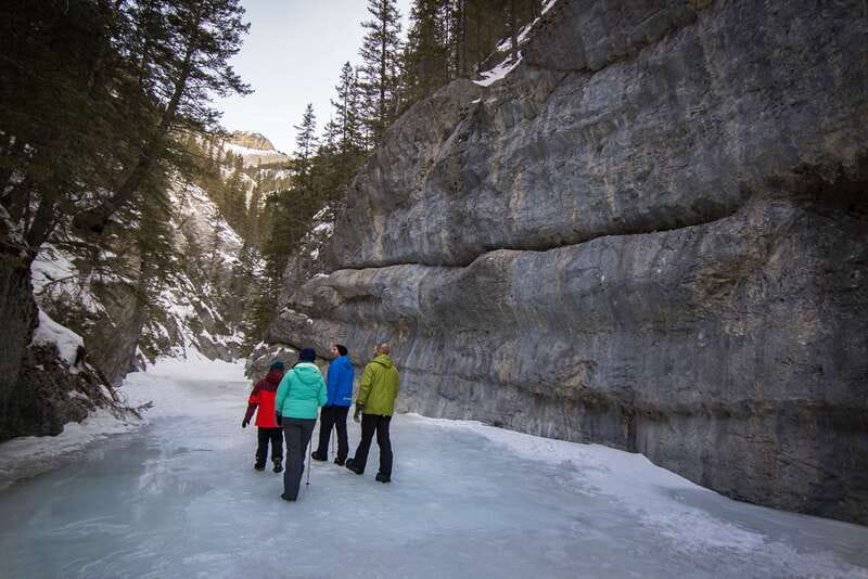 Banff: Grotto Canyon Icewalk - Icefalls, snow tracks, and the canyon’s small details