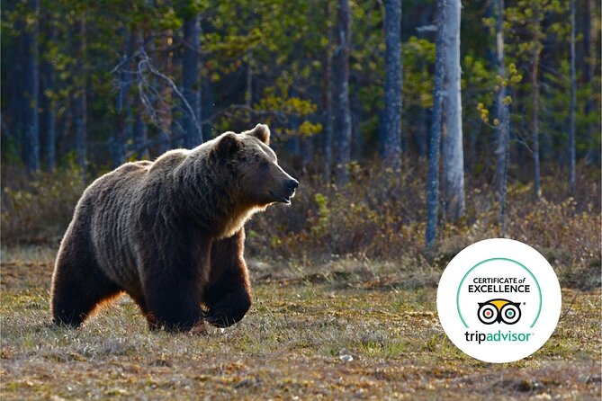 Banff Highlights & Wildlife | Award-Winning Small Group Adventure - Lake Minnewanka and Two Jack Lake