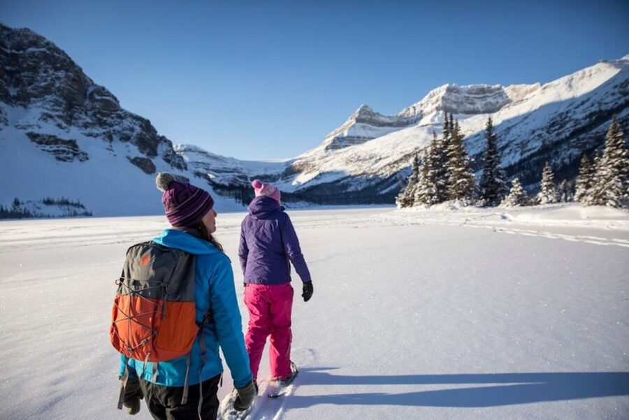 Banff: Icefields Parkway & Abraham Lake Ice Bubbles Tour - Six hours along the Icefields Parkway