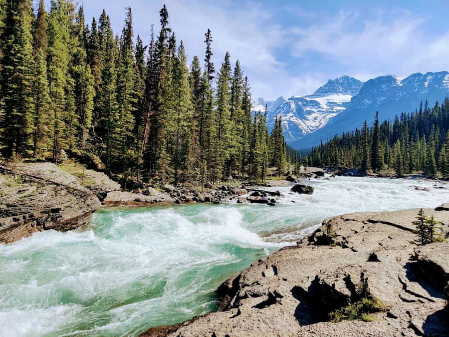Banff: Moraine Lake, Lake Louise, Emerald Lake and Yoho Trip - Why This Rockies Day Trip Works