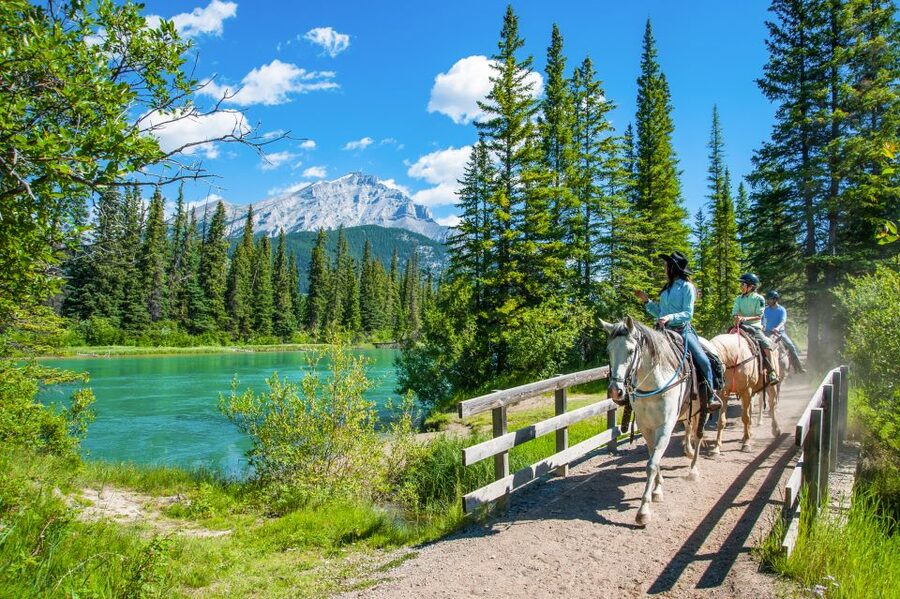 Banff National Park: 1-Hour Bow River Horseback Ride - Guides, stories, and hearing the commentary