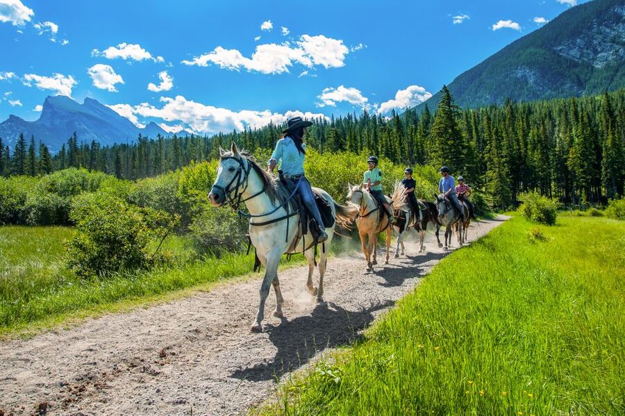 Banff National Park: 1-Hour Bow River Horseback Ride - Should you book the Bow River ride?