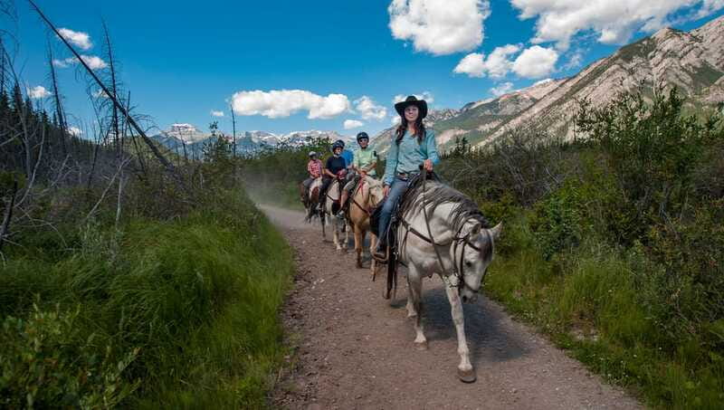 Banff National Park: 2-Hour Sundance Loop Horseback Ride - Climbing Sulphur Mountain to Windy Knoll