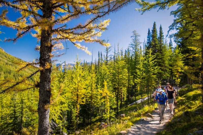 Banff National Park: Guided Signature Hikes with Lunch - Four hikes, four very different Banff days