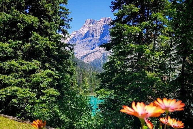 Banff National Park Moraine Lake and Lake Louise Explorer Tour - A small van, with guide quality in the balance