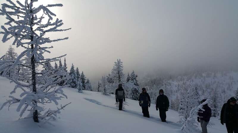 Banff National Park: Sunshine Meadows Snowshoeing Experience - From Banff to the snowline in 50 minutes