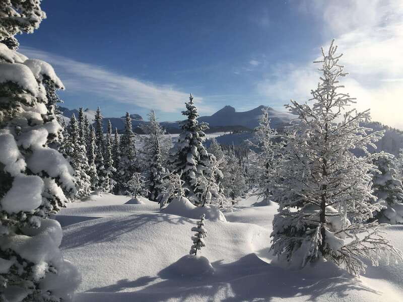 Banff National Park: Sunshine Meadows Snowshoeing Experience - Practical planning for your four hours