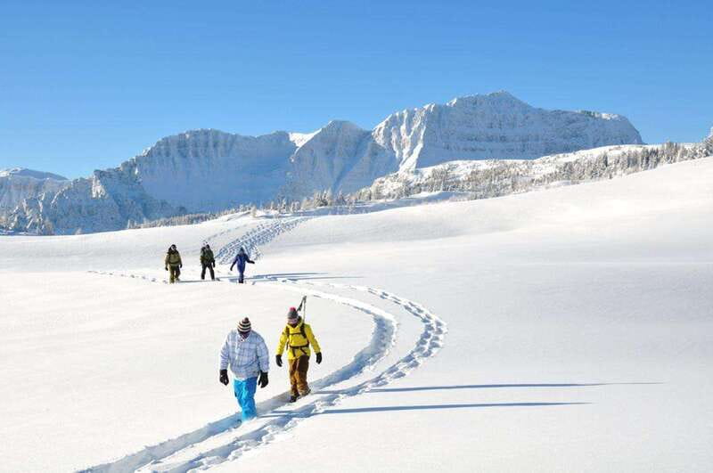 Banff National Park: Sunshine Meadows Snowshoeing Experience - Is Sunshine Meadows snowshoeing worth booking?
