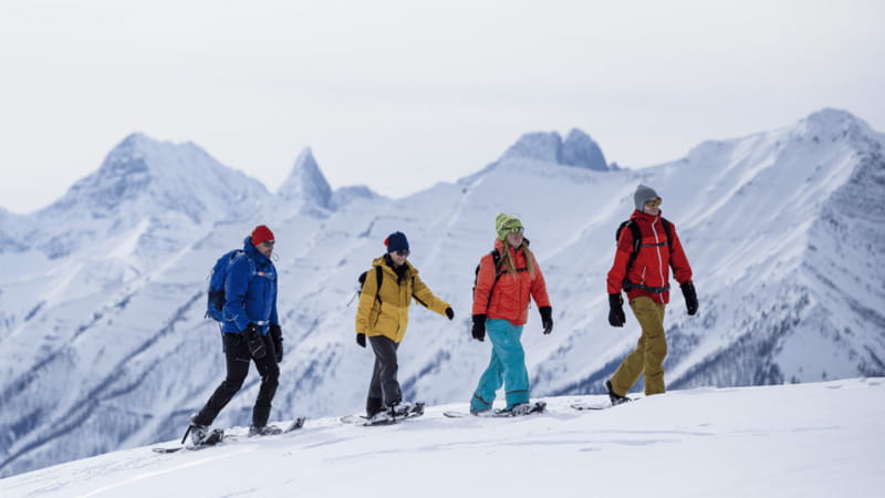 Banff National Park: Sunshine Meadows Snowshoeing Experience - FAQ