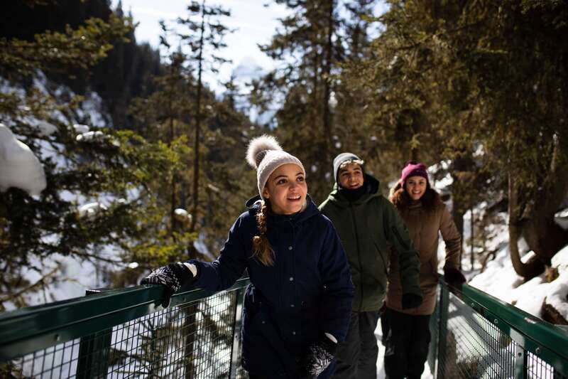 Banff: Premium Johnston Canyon Frozen Falls Guided Adventure - Key points to know before booking