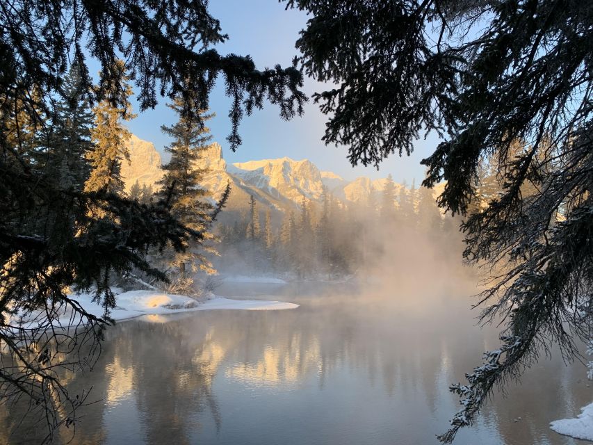 Banff PRIVATE Guided Nature Walk + Transportation - 2.5H - Is $292 good value for up to three people?