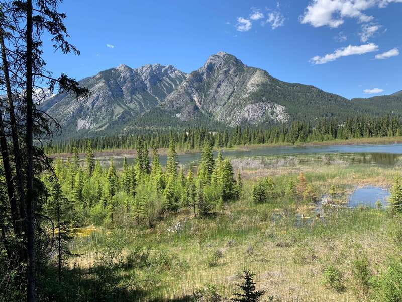 Banff PRIVATE Guided Nature Walk + Transportation - 2.5H - The 15-minute ride into Banff’s outdoors