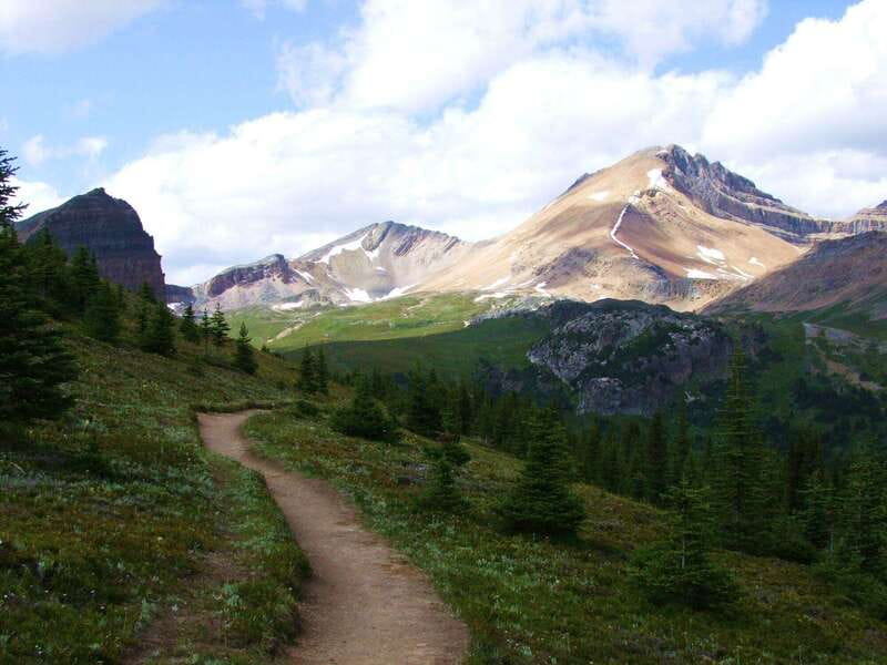 Banff PRIVATE Guided Nature Walk + Transportation - 2.5H - Photos, scenery, and the Bow River