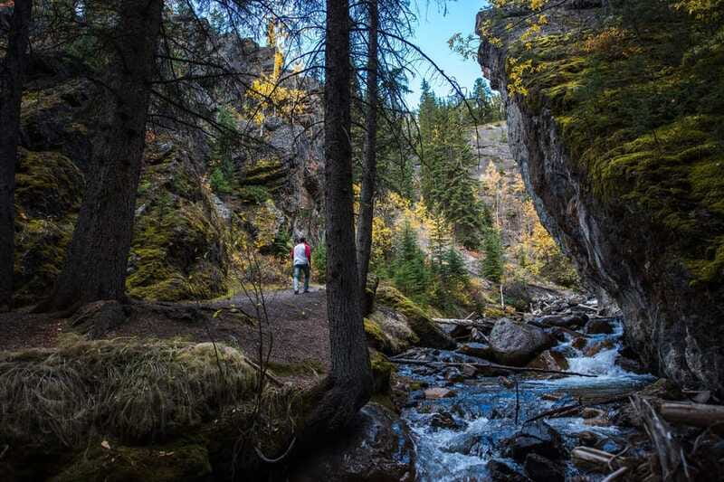 Banff: Thermal Waters and Hidden Waterfalls - 3hr Walk - Wildlife watching without false promises