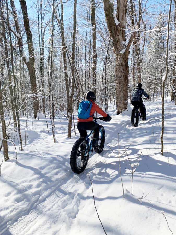 Banff Top Sights via Electric Fat Bike Tour All Skill Levels - Why an electric fat bike works so well in Banff