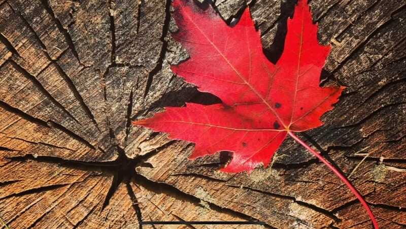 Banff Town: Guided Town Walking Tour with Snack - Luxton residence museum and stories of trade