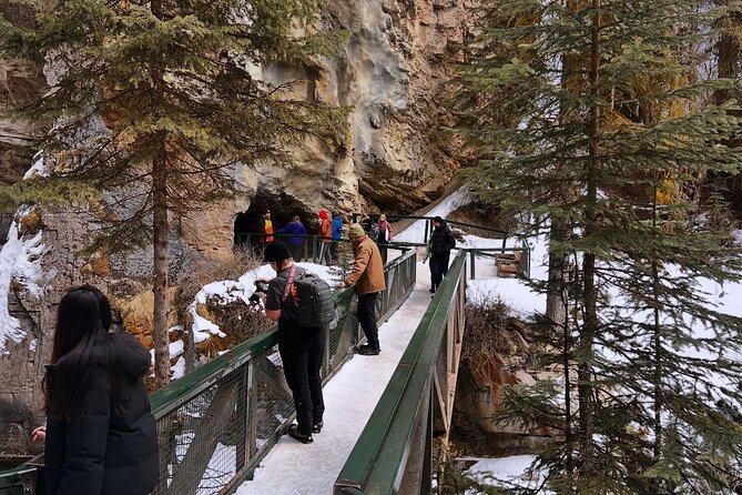 Banff Town ,Lake Louise, Moraine , Emerald & Johnston Canyon Tour - Key points to know before booking