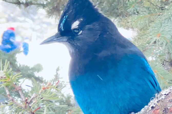 Banff Town ,Lake Louise, Moraine , Emerald & Johnston Canyon Tour - Moraine Lake from June 1 through October 14