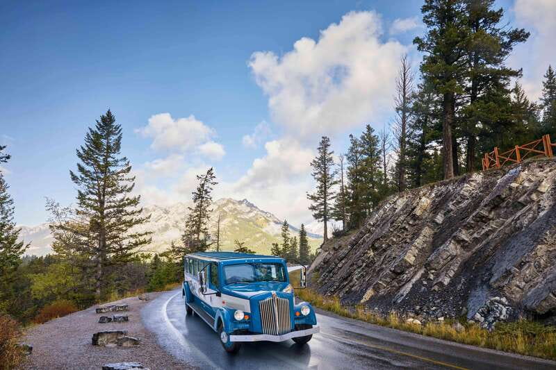 Banff: Vintage Car Legendary Open-Top Touring - Wildlife can add an unexpected moment