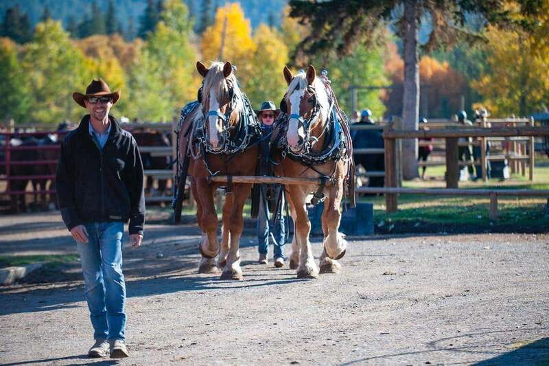 Banff: Wagon Ride with Cowboy Cookout BBQ - Why this Banff wagon ride feels different