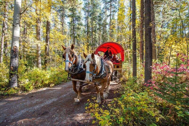 Banff: Wagon Ride with Cowboy Cookout BBQ - Roping, horseshoes, and time around the fire