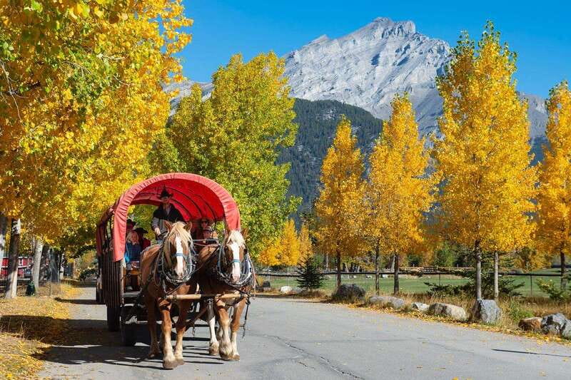 Banff: Wagon Ride with Cowboy Cookout BBQ - Starting at Warner Stables in Banff