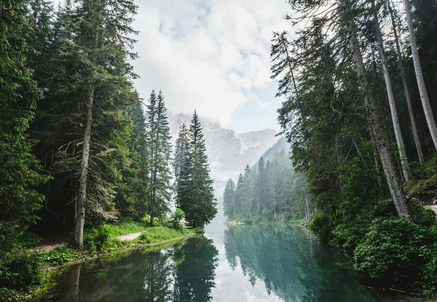 Banff, Yoho, and Jasper 2 Day Private Tour - A big Rockies route in only two days