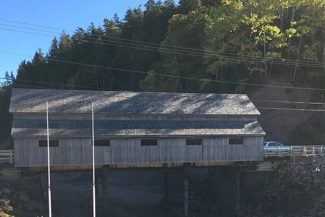 Bay of Fundy Tour by Bus - Reversing Falls Rapids, the best first stop
