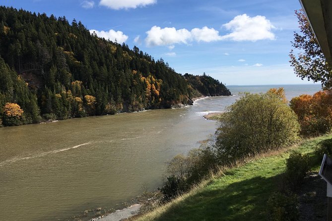 Bay of Fundy Tour by Bus - Saint John City Market adds a local pause
