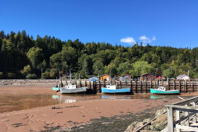Bay of Fundy Tour by Bus - The four-hour coastal run is where the tour earns its price