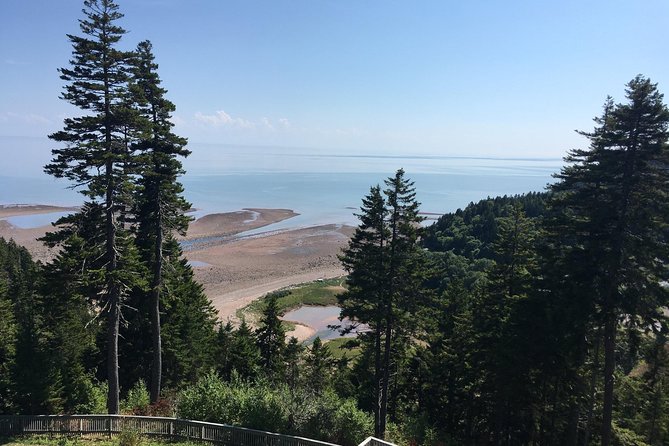 Bay of Fundy Tour by Bus - St. Martins sea caves and the changing shore