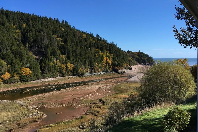 Bay of Fundy Tour by Bus - Covered bridges, lighthouses, and small roadside surprises